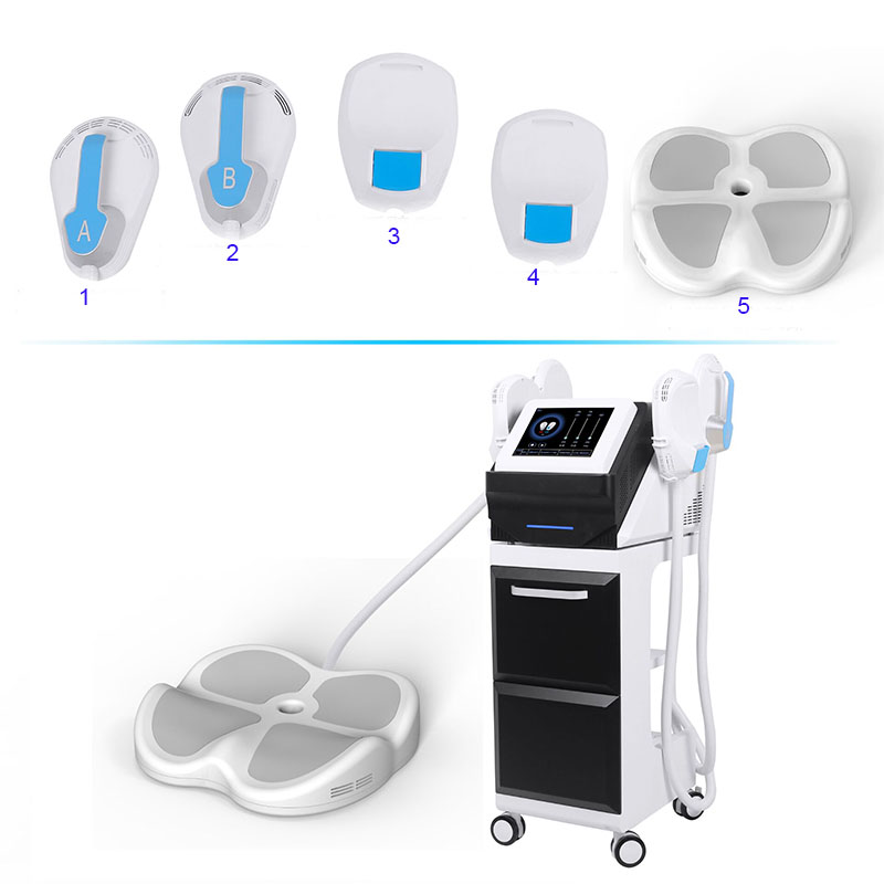 EMS Sculpture Machine